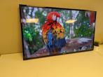 55 inch LED Samsung SyncMaster MD55B grote voorraad