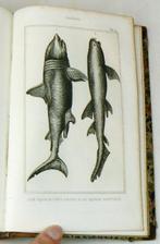 Bernard-Germain-Étienne de La Ville-sur-Illon, comte de, Antiek en Kunst