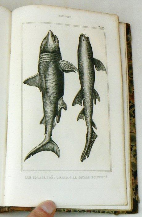 Bernard-Germain-Étienne de La Ville-sur-Illon, comte de, Antiek en Kunst, Antiek | Boeken en Bijbels