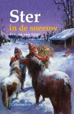Ster in de sneeuw 9789026620621 Evelien van Dort, Verzenden, Gelezen, Evelien van Dort