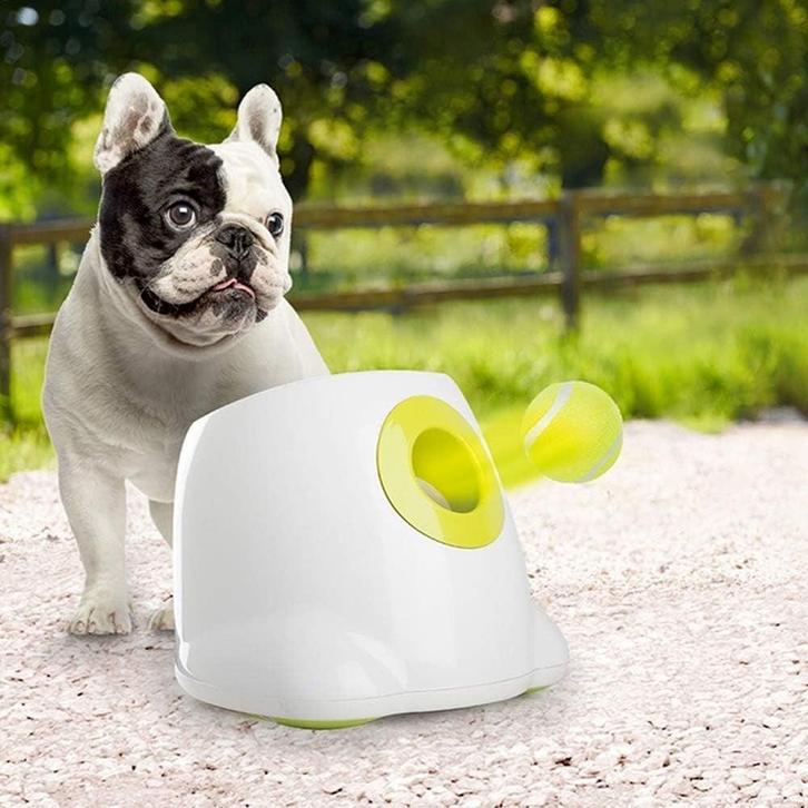 Balwerper Hond | Interactief | Retourdeal 9% Korting, Dieren en Toebehoren, Honden-accessoires, Nieuw, Ophalen of Verzenden