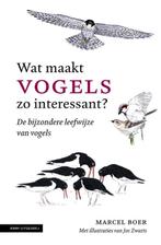 Wat maakt vogels zo interessant? 9789050117500 Marcel Boer, Boeken, Verzenden, Gelezen, Marcel Boer
