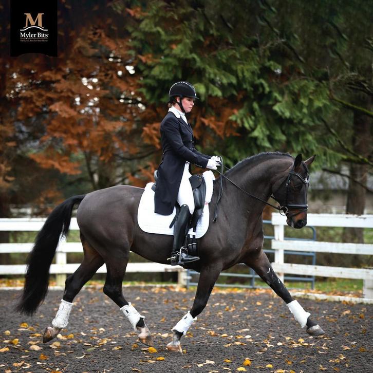 GRATIS 4 weken een MYLER bit thuis TESTEN?, Dieren en Toebehoren, Paarden en Pony's | Hoofdstellen en Tuigage, Overige soorten