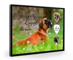 Display + plectrums met afbeelding van Boxer hond, Nieuw, Ophalen of Verzenden