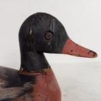 Lokeend - Lokeend - Hout, Handbeschilderd licht hout