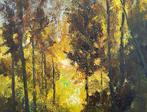 Denis Ferté (1952) - Le sentier des Fées - Il sentiero delle, Antiek en Kunst, Kunst | Schilderijen | Klassiek