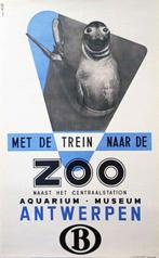 Studio Peso - ZOO Antwerpen zeeolifantje - jaren 1950