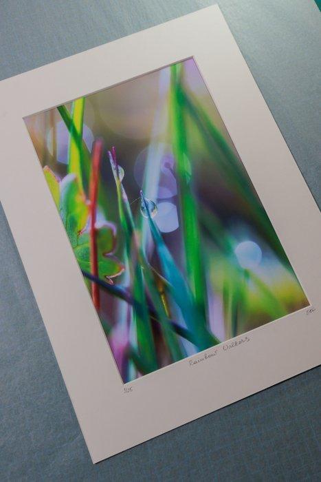 Inna Etuvgi - Rainbow Walkers, Antiek en Kunst, Kunst | Schilderijen | Modern
