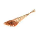 Soft worms grass burnt orange leuk gras en alternatief voor, Hobby en Vrije tijd, Knutselen, Ophalen of Verzenden, Nieuw