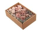 Droogbloemenmix doos pearl pink droogbloemstuk of krans zelf, Ophalen of Verzenden, Nieuw