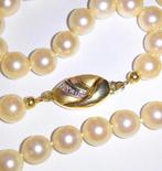 Zonder minimumprijs - Halsketting 14 kt geelgoud -, Nieuw