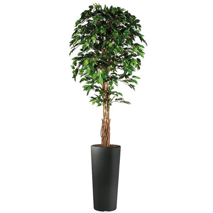 Ficus kunstplant, H250cm, Huis en Inrichting, Kamerplanten, Ophalen of Verzenden