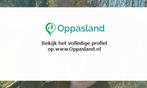 Mark zoekt een oppas in Veghel voor 2 kinderen., Vacatures