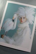 Inna Etuvgi - The Flamingo Affair