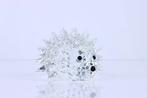 Figuur - Swarovski - Egel (Boxed) - Kristal