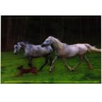 3-d poster paarden NIEUW, Verzamelen, Posters, Ophalen of Verzenden, Nieuw