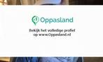 Leon zoekt een oppas in Ridderkerk voor 1 kind voor 7 dag..., Vacatures, Vacatures | Horeca en Catering