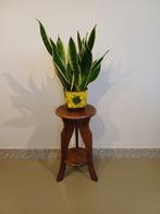 Plantentafel - Eik - Amsterdamse school