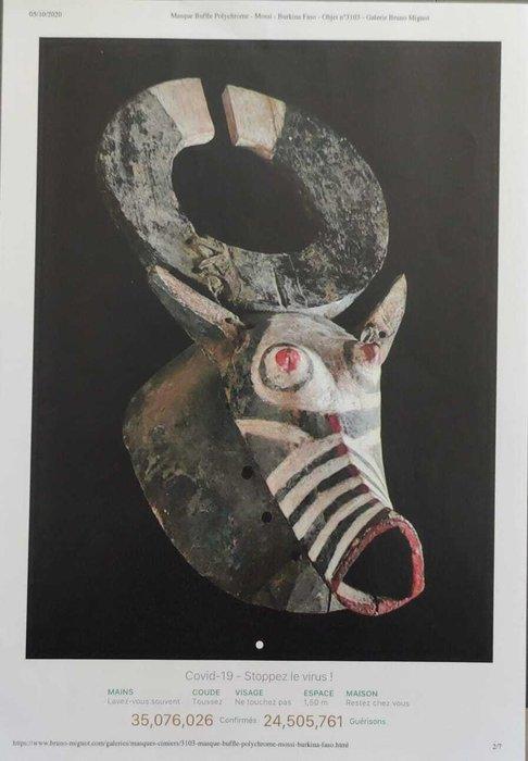 Buffelmos skal - mos - Burkina Faso, Antiek en Kunst, Kunst | Niet-Westerse kunst