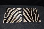 real zebra skin covers - Kussen (2), Nieuw