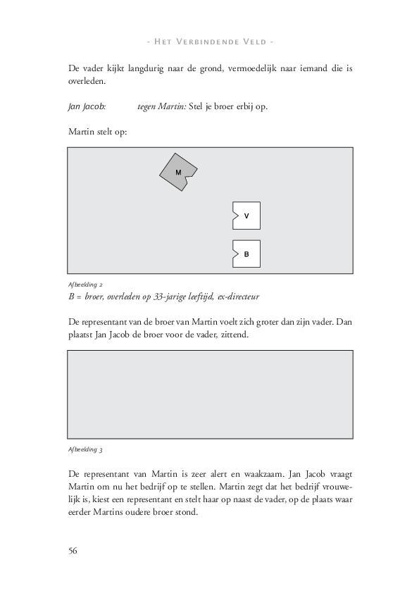 Het verbindende veld 9789077290026, Boeken, Studieboeken en Cursussen, Zo goed als nieuw, Verzenden