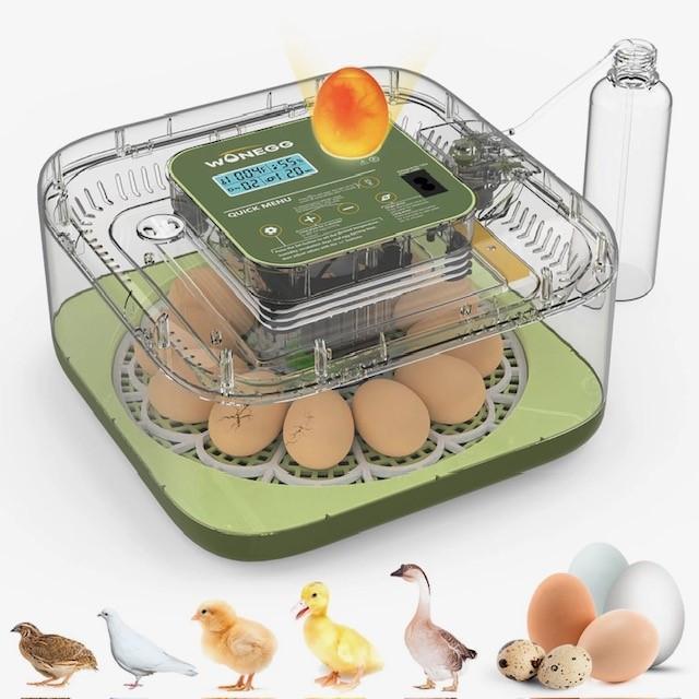 Broedmachine regelt zelf vochtigheid + gratis eieren, Dieren en Toebehoren, Pluimvee | Toebehoren, Nieuw, Broedmachine, Verzenden