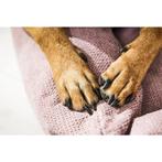 Klassiek hondenbed - TUDOR ROSE, Nieuw, Verzenden
