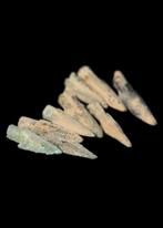 Anatolisch Brons Trilobatische pijlpunten (9) (Zonder
