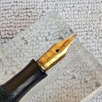 watermans - Zonder Minimumprijs - Vulpen, Nieuw