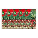 Aardbeienzaad | VT | 5 stuks (Bosaardbei), Tuin en Terras, Verzenden