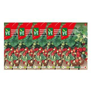 Aardbeienzaad | VT | 5 stuks (Bosaardbei), Tuin en Terras, Bloembollen en Zaden, Verzenden