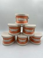 Industriële apparatuur - Frankrijk - Anatomisch model -