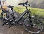 Pegasus Premio EVO 10 Lite 750WH – Elektrische Damesfiets, Fietsen en Brommers, Overige merken, Ophalen of Verzenden, Zo goed als nieuw