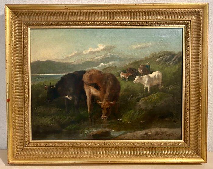 George William Horlor (1823-1898) - Vee in berglandschap, Antiek en Kunst, Kunst | Schilderijen | Klassiek