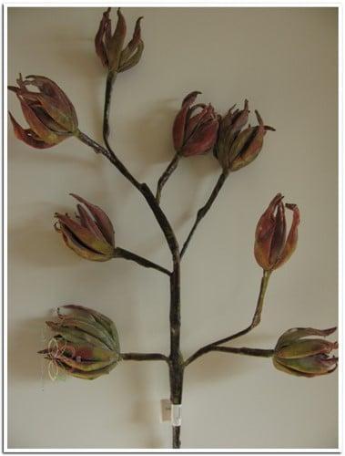 Magnolia Rusty Groen Foam Zijdenbloem x8 70 cm, Huis en Inrichting, Woonaccessoires | Kunstplanten en Kunstbloemen, Nieuw, Ophalen of Verzenden