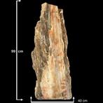 Fossiel hout - Gefossiliseerd hout - Araucaria - 99 cm - 40