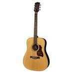 Richwood D-65-VA Master Series handgemaakte dreadnought, Muziek en Instrumenten, Ophalen of Verzenden, Nieuw