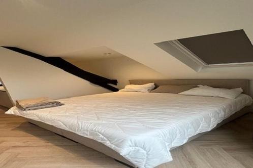 Studio Sint Catharinastraat in Eindhoven, Huizen en Kamers, Kamers te huur, Minder dan 20 m², Eindhoven