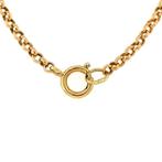 Gouden jasseron collier 14 krt, Sieraden, Tassen en Uiterlijk, Kettingen, Ophalen of Verzenden, Nieuw