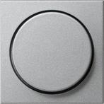 Gira Systeem 55 Besturingselement/Centrale plaat, Verzenden, Nieuw, Overige typen