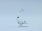 Figuur - Swarovski - Gans (Boxed) - Kristal, Antiek en Kunst