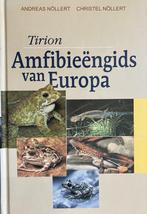 Amfibieengids Van Europa 9789052104195 A. Nollert, Gelezen, A. Nollert, C. Nollert, Verzenden