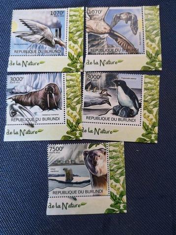 België - Complete serie lot en S/S van Congo en Burundi beschikbaar voor biedingen