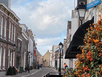 Appartement in Culemborg - 80m² - 2 kamers beschikbaar voor biedingen