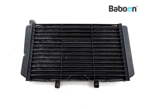 Radiateur Honda CB 600 F Hornet 2007-2013 (CB600F PC41), Motoren, Onderdelen | Honda, Gebruikt, Verzenden