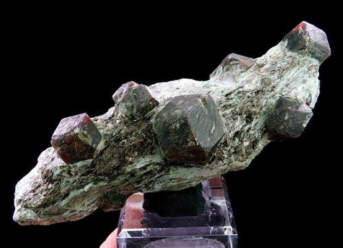 Almandijn granaat op micaschist Granatenkogel, Ötztal,, Verzamelen, Mineralen en Fossielen