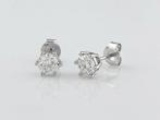 Oorbellen - 14 karaat Witgoud - 1.05ct. tw. Diamant, Sieraden, Tassen en Uiterlijk, Oorbellen, Nieuw
