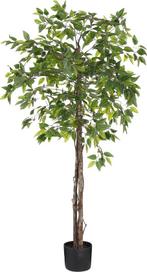 Tweedekans | Mica Decorations Ficus Kunstplant in Bloempot -, Huis en Inrichting, Kamerplanten, Ophalen of Verzenden