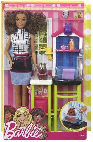 Barbie® Careers Speelset