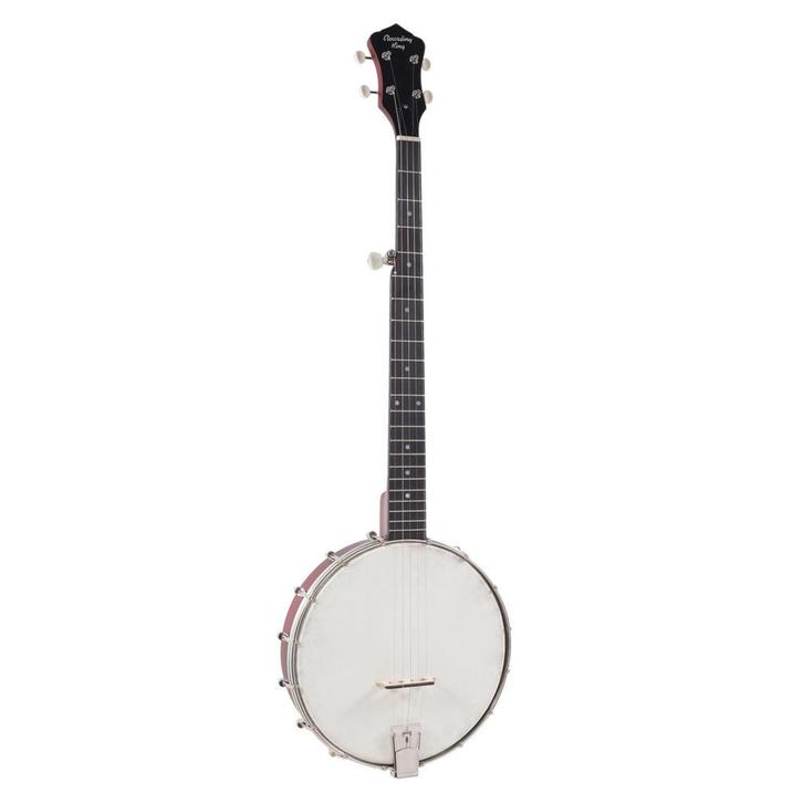 Banjo - Recording King - RKOH-05 - Satin Finish, Muziek en Instrumenten, Snaarinstrumenten | Banjo's, Nieuw, 5-snarige of Bluegrassbanjo